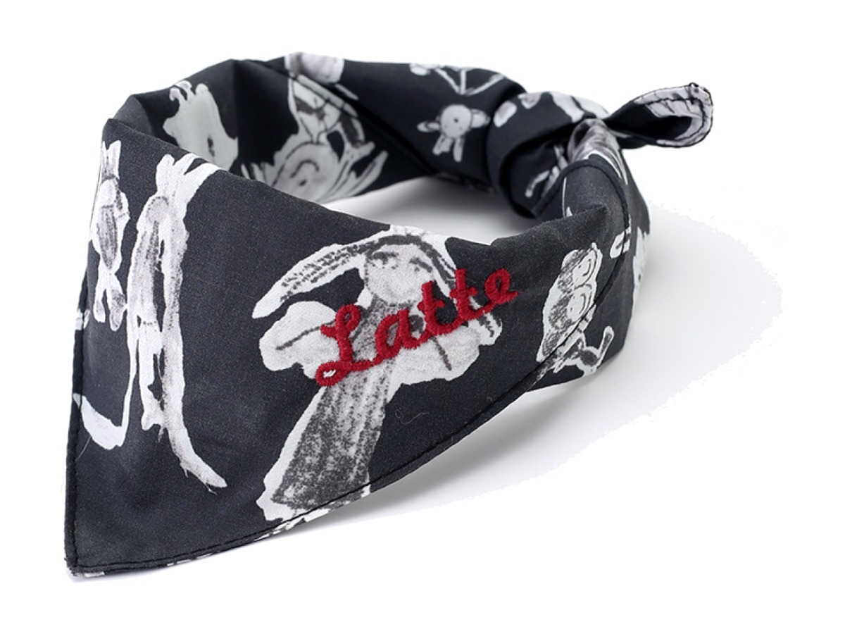 Embroidered bandanas — view 3