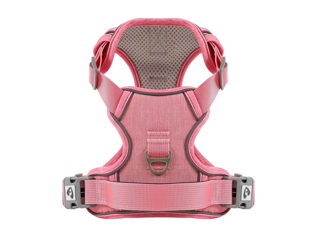 No-pull harnesses — view 2