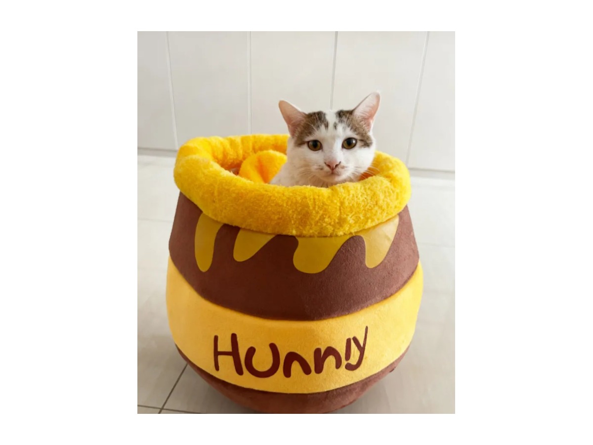 Honey-pot cat caves — view 2