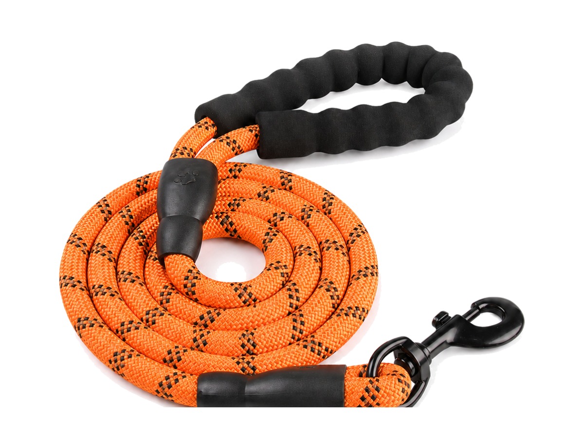 Leashes