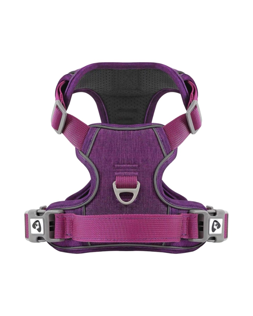 Harnesses